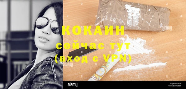 кокс Алзамай
