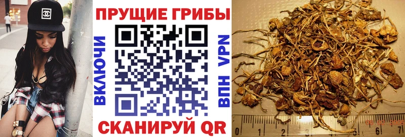 Галлюциногенные грибы ЛСД  где продают наркотики  Фатеж 